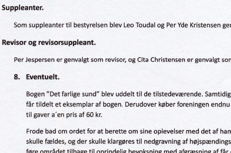 Formandens beretning